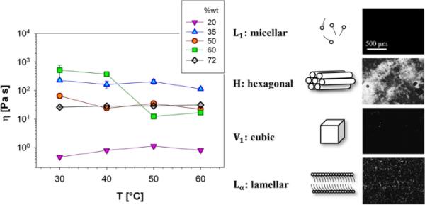 sle3s -水体系:线性流变学表征 