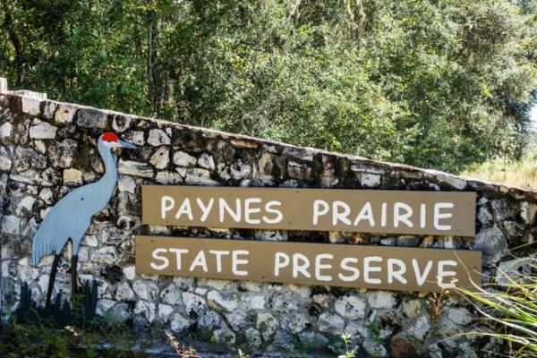 The plane went down in Paynes Prairie State Preserve. Credit: Getty Images/ Jeffrey Greenberg/ Universal Images